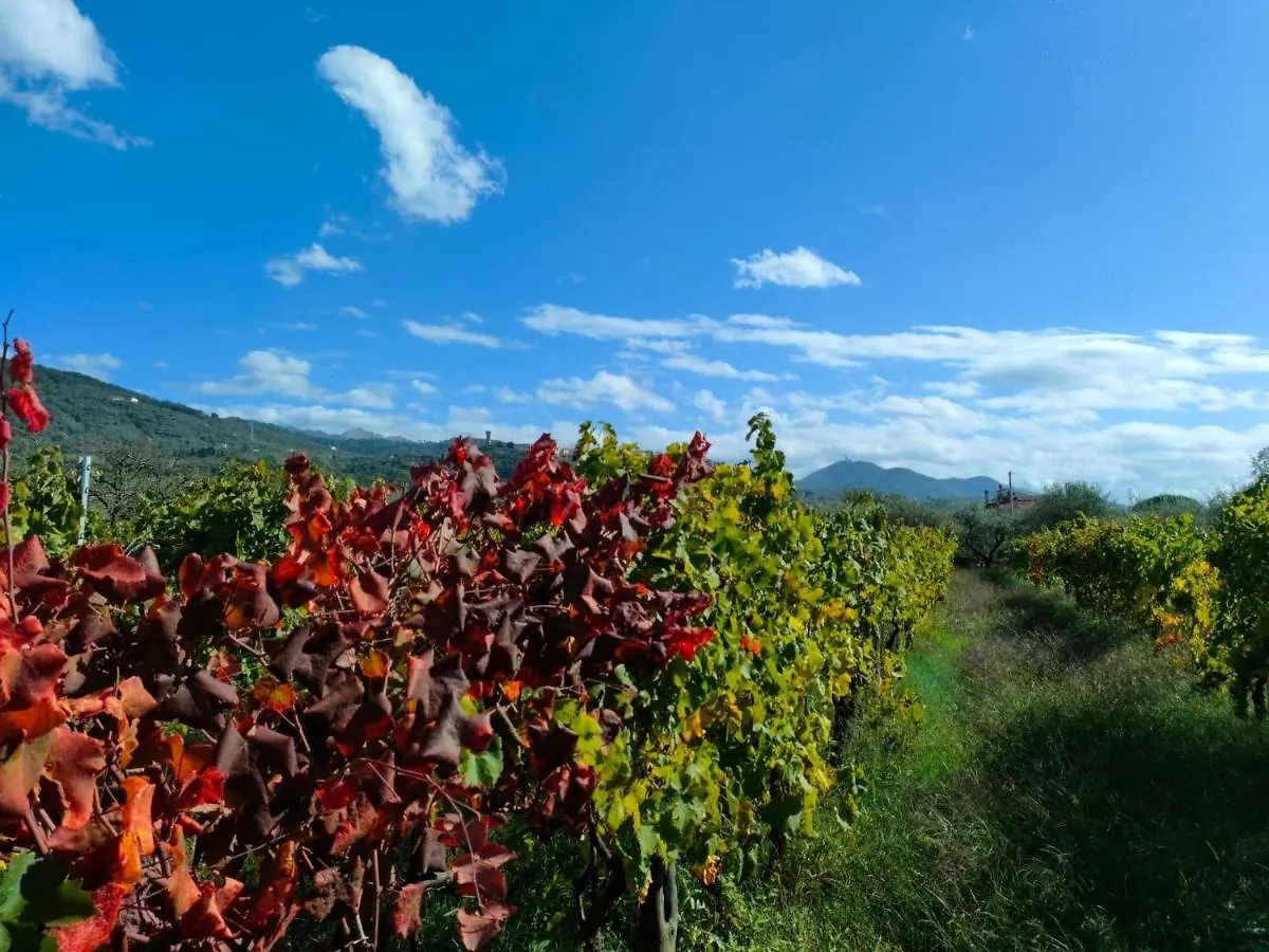 La Casa Vecchia Bed&Breakfast Caniparola di Fosdinovo Bed & Breakfast